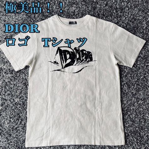 Dior(ディオール) Tシャツ・カットソー(メンズ) 